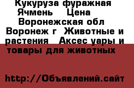 Кукуруза фуражная. Ячмень. › Цена ­ 7 - Воронежская обл., Воронеж г. Животные и растения » Аксесcуары и товары для животных   